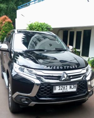 Mitsubishi Pajero 2019